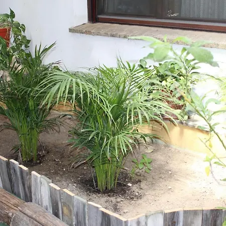 Casa Rural Los Pepe Country house *